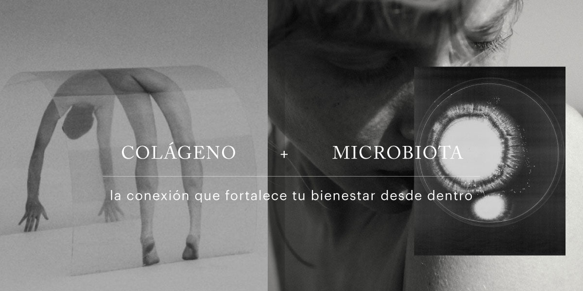 colágeno y microbiota