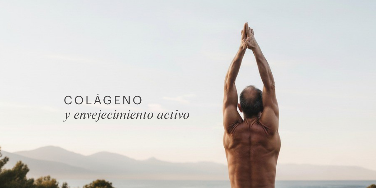 Colágeno hidrolizado y envejecimiento activo