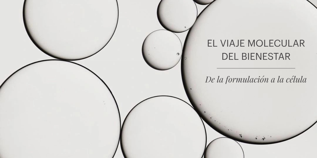 El viaje molecular del bienestar: De la formulación a la célula